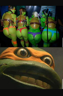 ninja turtle what are you looking from