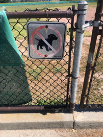No adorable puppies allowed on this parade field