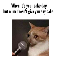 No cake no son