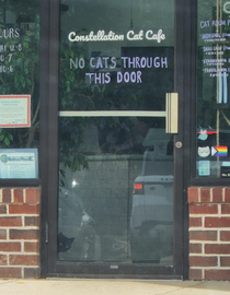 no cats through this door