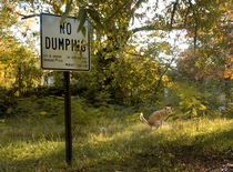 No Dumping