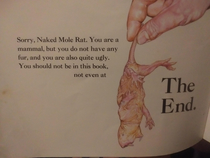 No love for naked mole rat in this childrens book