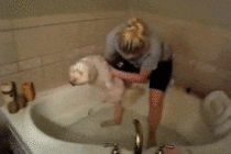 No matter how fast you run you cant escape bath time