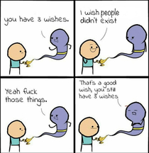 No more wishes for you