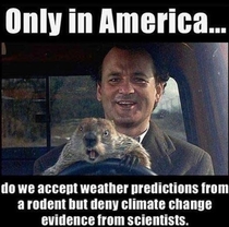 No one can deny a source like Punxsutawney Phil