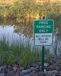 No sign of Kermit T Frog