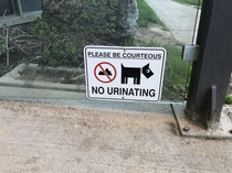 No Urinating