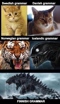 Nordic grammar scale