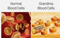 Normal blood cells vs grandmas blood cells