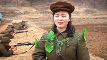 North Korean Camouflage