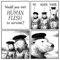 Not a BEARY appropriate answer