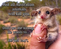 Not all Australians will kill you