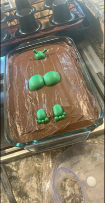 Not exactly how I envisioned my Shrek themed birthday cake