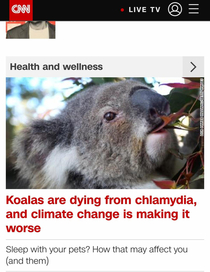Not funny topics but the unfortunate placement of two headlines
