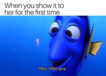 Not gonna lie this was how my first time went down