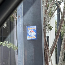 Not often do you find Pokmon cards taped to light poles