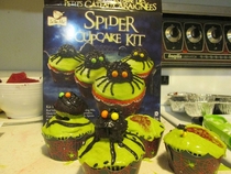 Not quite sure what my boyfriend expected when he bought me this cupcake kit