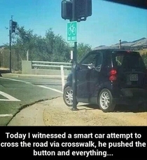 Not so Smart Car