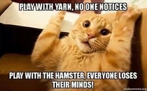 Not the freaking hamster