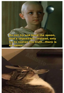 not the spoon that bends it is only yourself