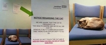 Notice regarding the cat