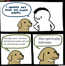 Now think what your dog would think about