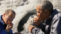 Obama eating a bears leftover salmon carcass with Bear Grylls in Alaska