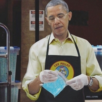 Obamas new job