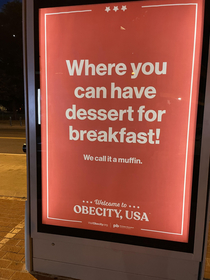 Obecity USA