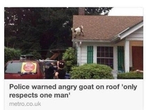 Obviously the greatest headline ever written