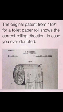 Obviously the TP creators did not have cats