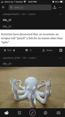 Octopus gives no fucks