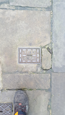 Offensive drain cover