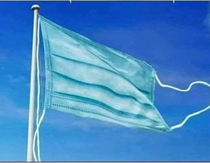Official Flag Of The World 
