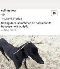 Oh deer