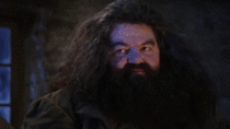 Oh Hagrid