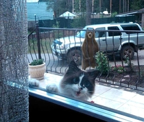 Oh hi guys I think its time for me to come in now I mean like really really NOW