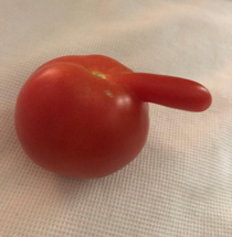 Oh oh think this tomato just saw that peach