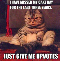 Oh so yeah  its my cakeday