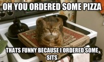 Oh you ordered some pizza