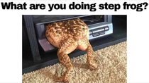 Ohh noo step frog