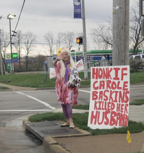 Ohio Trying to Bring Down Carole Baskins One Honk at a Time