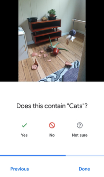 Ok google photos is definitely trolling me