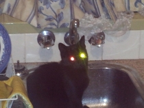 Ok so heres my cat recharging in the sink