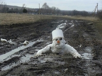 Olaf has seen better days