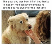 Oldie but goodie Good Boi doin a see