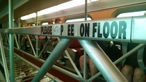 On every rail of the Chicago metra
