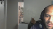 On Skype with my friend and his cat was staring at the wall for  minutes