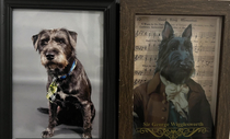 On the left is my dog On the right is some random picture I found in a home goods store I tell people its his great grandfather
