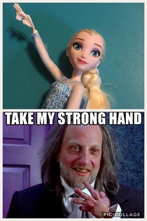 One of my dogs got ahold of my daughters Elsa toythis is all I could think of